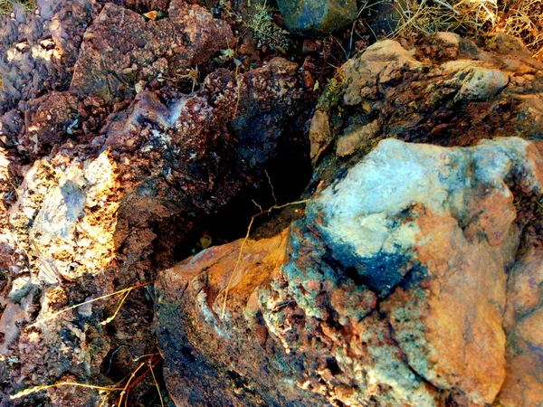 Egy Közeli Felvétel Egy Halom Száraz Kövről Egy Parkban — Stock Fotó