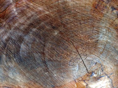 Beyaz gri ve siyah renkli bulutlar ve gökyüzü dokusu.