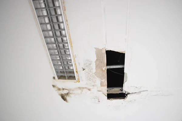 gypsum moldy ceiling water leak decay hole interior office building