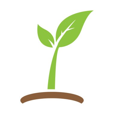 Eko Ağacı Yaprak Şablonu