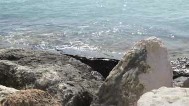 Denizin ve uçurumun dalgaları