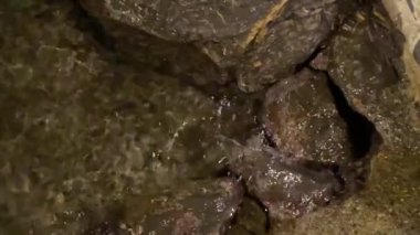 Rapallo Akvaryumu kayaların arasında su kabarcıkları