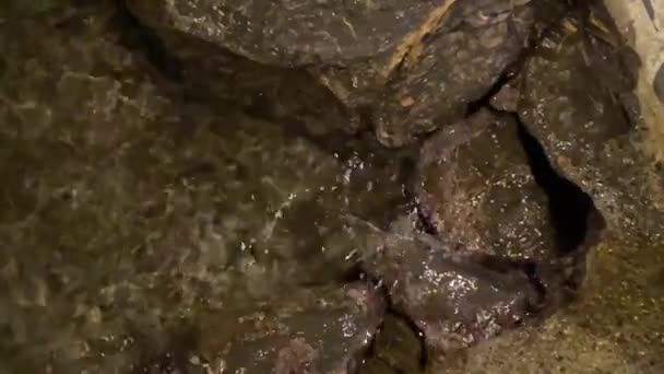 Rapallo Burbujas Agua Acuario Entre Las Rocas — Vídeo de stock