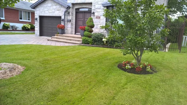 Street of typical houses of Canada