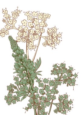 Dijital Süs: Çiçek Paisley, Babür Sanat Motifleri, Suluboya Tekstil Geleneksel Sınırlar. Moda Tasarımları için Etnik ve Geometrik Desenler. Klasik Nakış, Botanik ve Tropikal Elementler.