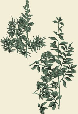 Dijital Süs: Çiçek Paisley, Babür Sanat Motifleri, Suluboya Tekstil Geleneksel Sınırlar. Moda Tasarımları için Etnik ve Geometrik Desenler. Klasik Nakış, Botanik ve Tropikal Elementler.