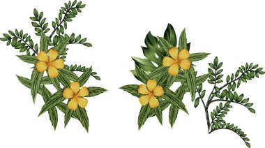 Dijital Süs: Çiçek Paisley Allover, Babür Sanat Motifleri, Suluboya Tekstil Geleneksel Sınırları. Moda Tasarımları için Etnik ve Geometrik Desenler. Klasik nakış, botanik ve tropikal elementler, kumaş baskısı için kusursuz arkaplan.