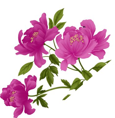 Dijital Süs: Çiçek Paisley Allover, Babür Sanat Motifleri, Suluboya Tekstil Geleneksel Sınırları. Moda Tasarımları için Etnik ve Geometrik Desenler. Klasik nakış, botanik ve tropikal elementler, kumaş baskısı için kusursuz arkaplan.