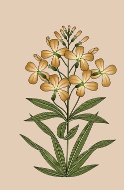 Dijital Süs: Çiçek Paisley Allover, Babür Sanat Motifleri, Suluboya Tekstil Geleneksel Sınırları. Moda Tasarımları için Etnik ve Geometrik Desenler. Klasik nakış, botanik ve tropikal elementler, kumaş baskısı için kusursuz arkaplan.