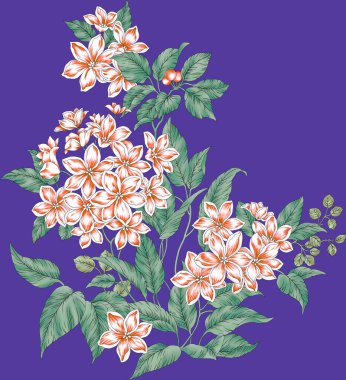 Dijital Süs: Çiçek Paisley Allover, Babür Sanat Motifleri, Suluboya Tekstil Geleneksel Sınırları. Moda Tasarımları için Etnik ve Geometrik Desenler. Klasik nakış, botanik ve tropikal elementler, kumaş baskısı için kusursuz arkaplan.