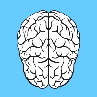 Mavi BG, Vektör üzerine beyin çizimi