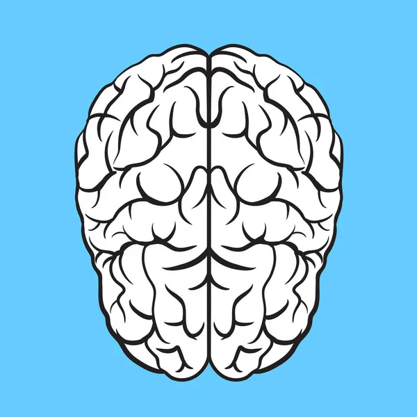 Ilustración Cerebral Azul Vector — Vector de stock