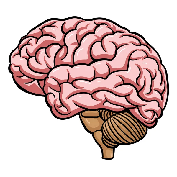 Cerebro Dibujo Cómics Ilustración Vectorial — Archivo Imágenes Vectoriales