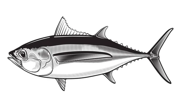 Tuňák Žlutá Ploutev Velké Oko Jednoduchý Znak Izolované Bílém Pozadí — Stockový vektor