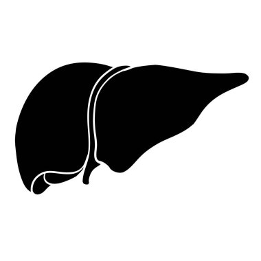 ctor human liver illustration isolated. organ anatomy symbol
