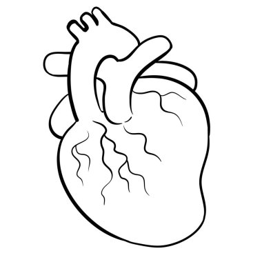 İnsan kalp çizgisi simgesi beyaz arkaplanda izole edildi