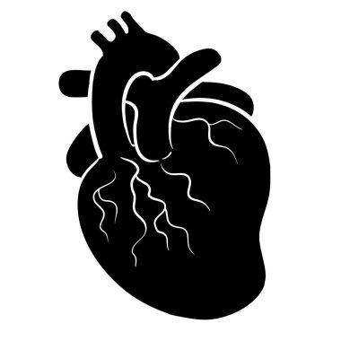 Beyaz arkaplanda izole edilmiş insan kalbi tıbbi vektör simgesi 