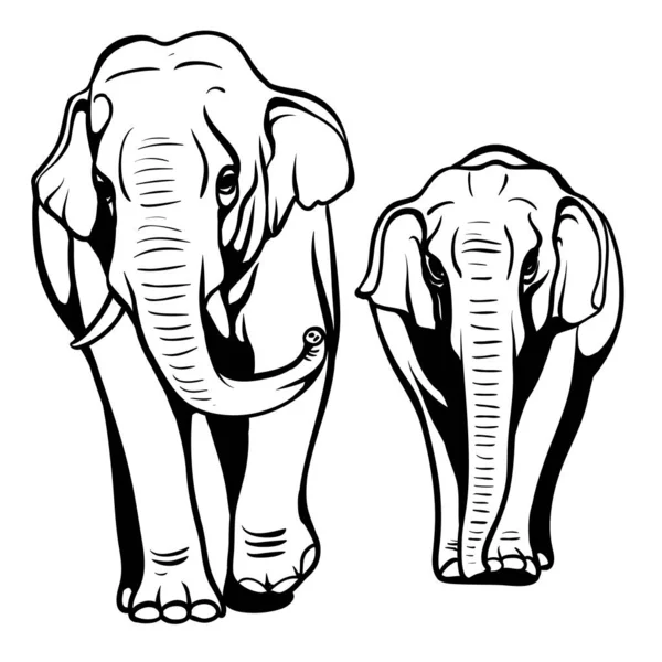 Illustrazione Elefante Bianco Nero — Vettoriale Stock