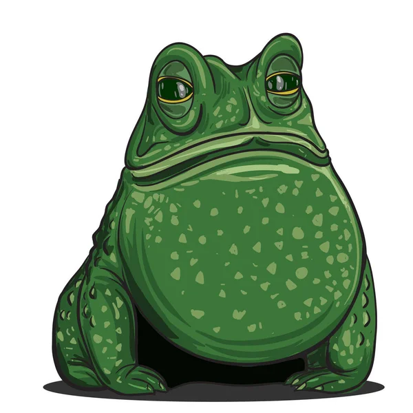 緑のカエルが座ってる ベクターイラスト — ストックベクタ