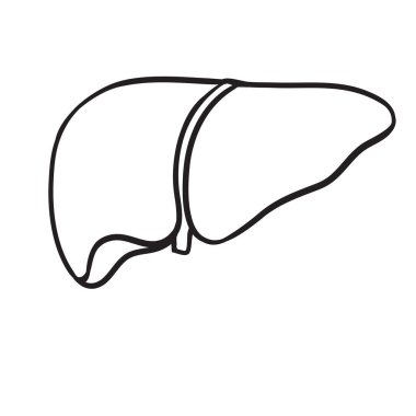 Beyaz arka planda insan karaciğer vektör çizgisi simgesi izole edildi. Detoksifikasyon konsepti. Infographic, web sitesi veya uygulama için insan karaciğer çizgisi simgesi. Izgara sisteminde simge dizayn edildi