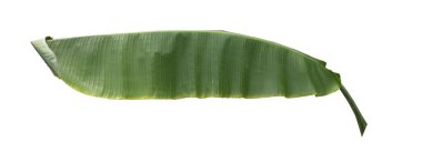 Muz Yaprak üzerinde izole beyaz arka plan, dosyada, kırpma yolu.