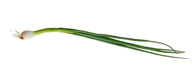 Beyaz arka planda izole edilmiş taze soğan, kırpma yolu ile