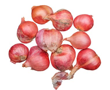Beyaz arka plan üzerinde izole bir grup soğancık soğan.