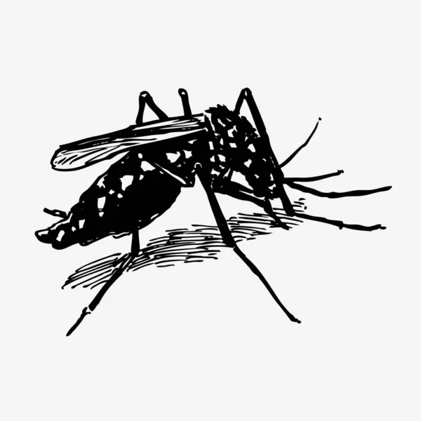Κουνούπι Χειρός Εικονογράφηση Διανύσματος — Διανυσματικό Αρχείο