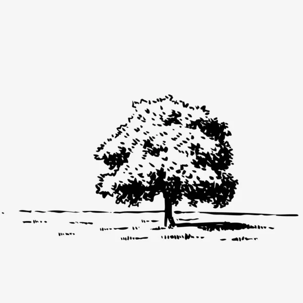 Albero Disegnato Mano Isolato Sfondo Bianco Schizzo Illustrazione Vettoriale — Vettoriale Stock