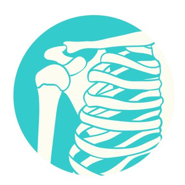 İnsan omuz eklemi, ilaç, klinik sembol tasarımı, teşhis merkezi, düz tasarım, beyaz arkaplan hakkında bilgi grafikleri, vektör