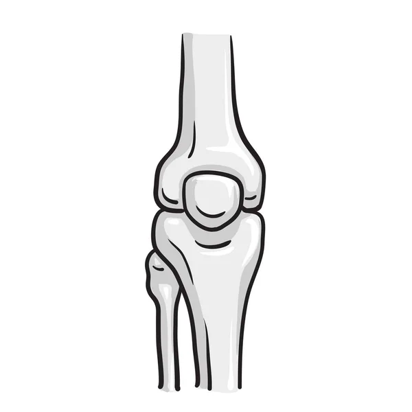 健康な膝関節の構造を漫画します 人体解剖骨格の概念 医学の本やチラシのデザイン要素です 詳細平面ベクトルのアイコン — ストックベクタ