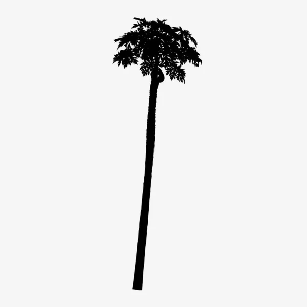 Силуэт Дерева Папайи Изолированный Белом Фоне Векторная Иллюстрация — стоковый вектор