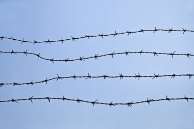 Dikenli tel örgü ve mavi gökyüzü siyahı