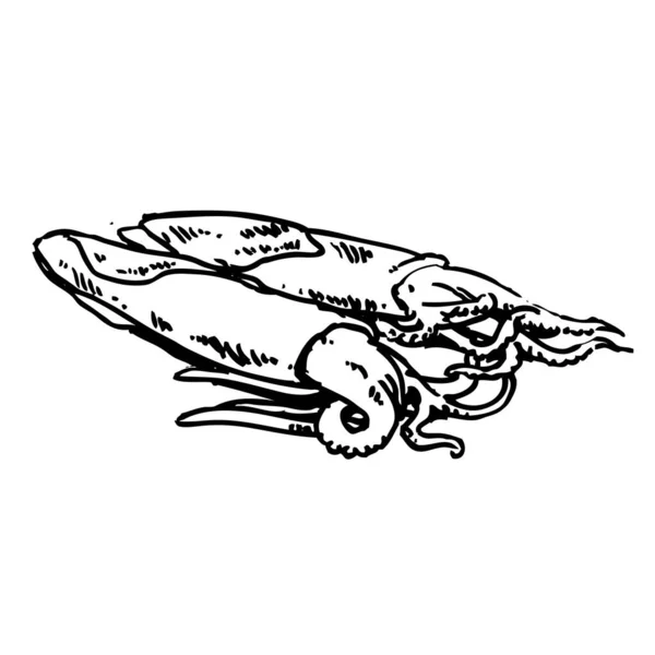イカ手描きアウトラインドア 健康的な魚介類のベクトルスケッチイラスト 白の背景に隔離 — ストックベクタ