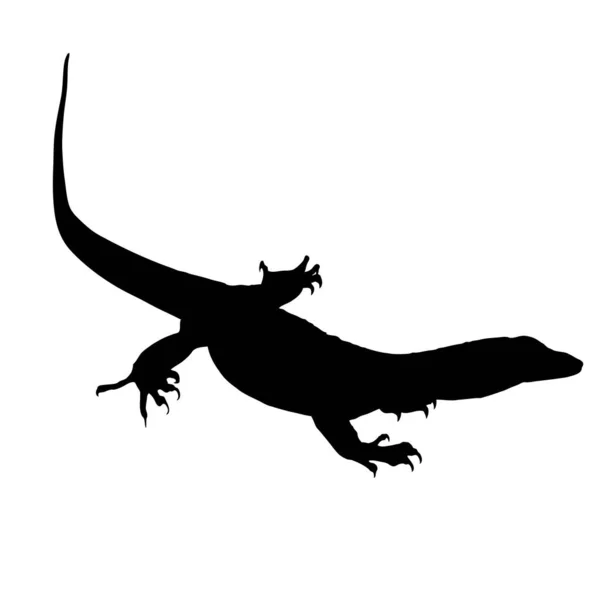 Övervaka Lizard Silhouette Vit Bakgrund Isolerade Vektordjur — Stock vektor