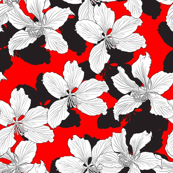 Bauhinia Purpurea Ilustración Vectorial Patrón Fondo Rojo Sin Costuras Flor — Archivo Imágenes Vectoriales