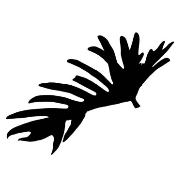 Beyaz arkaplanda izole edilmiş filodendron xanadu yaprağının siyah siluetleri, Vektör illüstrasyonu