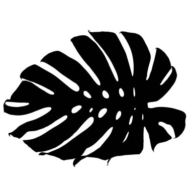 Beyaz arka planda izole edilmiş canavar yaprağının siyah siluetleri, Vektör illüstrasyonu