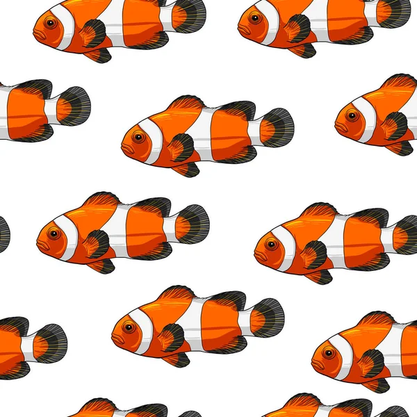 Clownfish Nahtloses Muster Auf Weißem Hintergrund Vektordarstellung Isoliert Auf Eps10 — Stockvektor