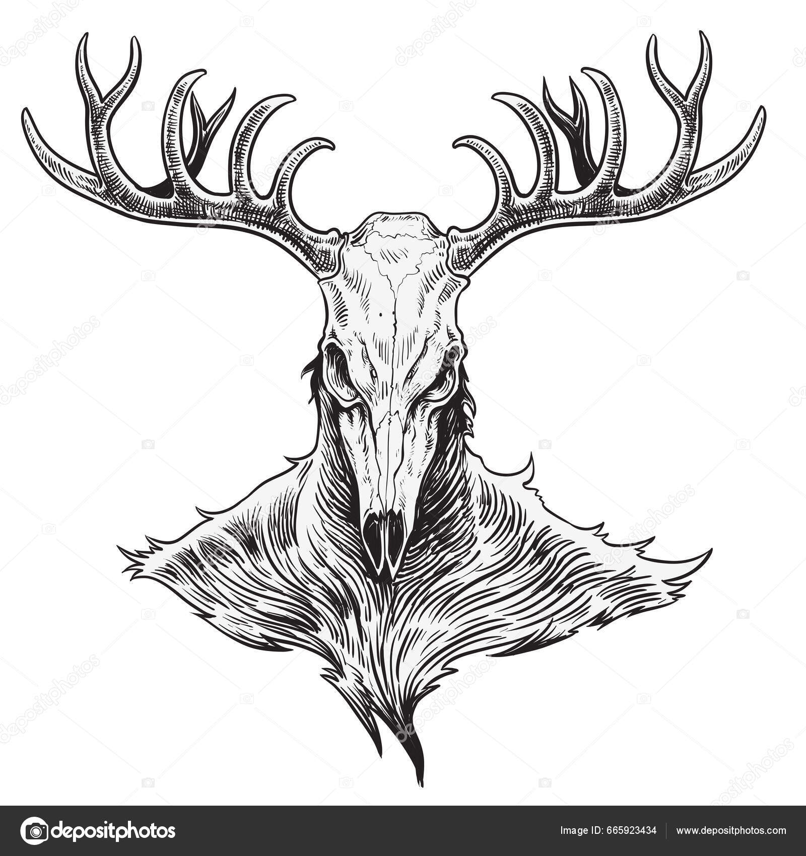 도끼를 사슴의 두개골을 것입니다 디자인 스톡 벡터 - ©kaiwut 665923434, image size:1600x1700