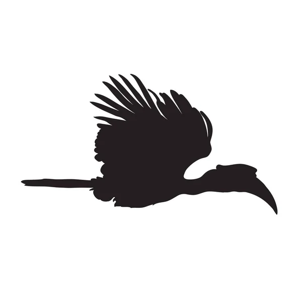 Wielki Hornbill Latający Sylwetka Izolacja Białym Tle Ilustracja Wektora — Wektor stockowy