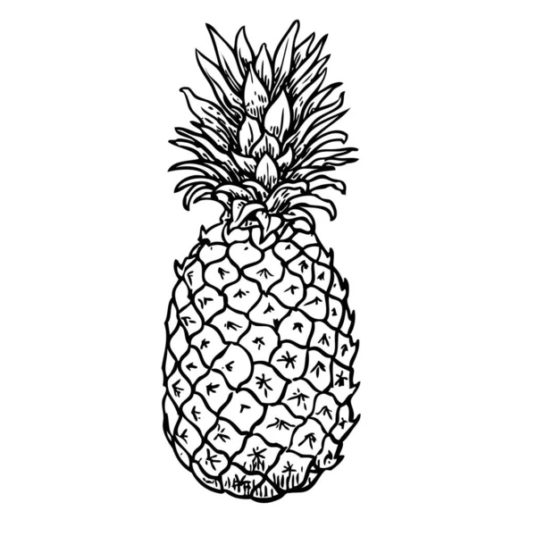 菠萝黑色素描卡通画手绘插图孤立在白色背景上 — 图库矢量图片