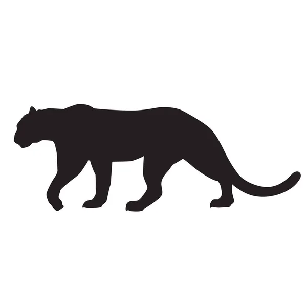 Puma silueti, Vektör illüstrasyonu, beyaz arkaplanda izole