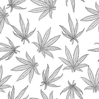 Marihuana çizimi, kusursuz vektör deseni, el yapımı kenevir arka planı.