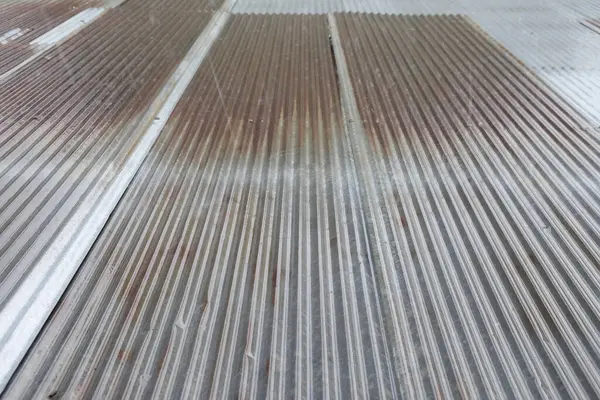 Galvanizli çatıya yağmur, çatıya yağmur, kanguru içinde bulanık küçük kuş.