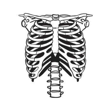 İskelet Göğüs Kafesi Anatomi Kötülük Öldüren Katil İnsan Kemiği Ölüm Sanatı Sanat Tasarımı, vektör çizimi.