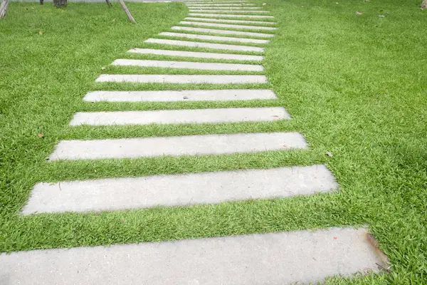 Gri renkli basamaklar, çıplak çizgi beton kaldırımlar ve bahçedeki yeşil çimen halı çimenleri.