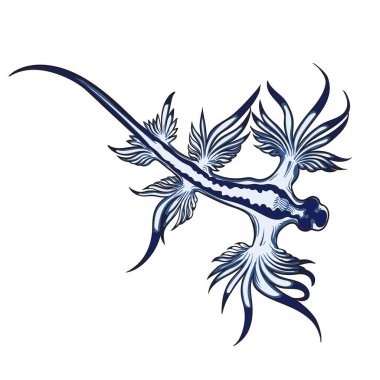 Glaucus Atlanticus - sırt görünümünde görülen mavi deniz ejderhası, vektör illüstrasyonu.