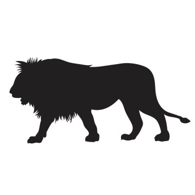Beyaz arkaplanda aslan silueti vektörü
