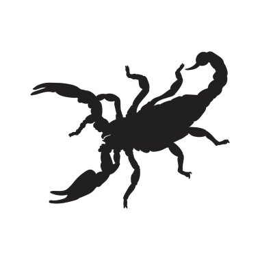 Akrep silueti, beyaz arkaplan vektör illüstrasyonunda siyah izole edildi.